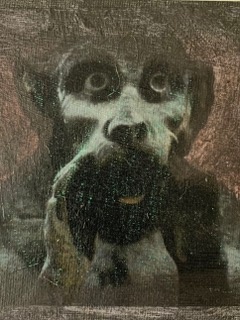 (c) veronika staat-bachmann (c) veronika staat-bachmann